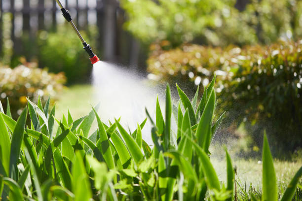 24/7 Emergency Ant Control experts in Heavener, OK