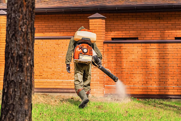 Trusted Emergency Pest Control service in Heavener, OK - Nex Pest Control